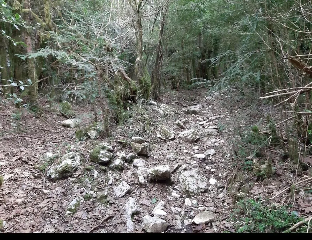 Hotel Hamiti Llogara Dukat
